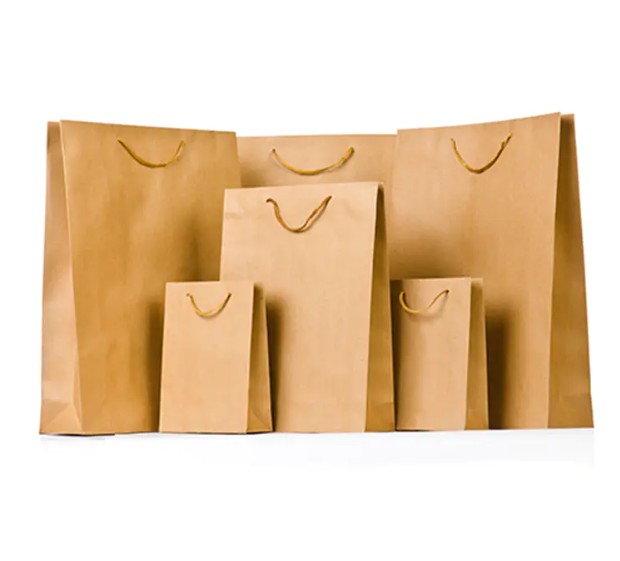 Are Printed High-End Customized Paper Bags the Future of Eco-Friendly Packaging?