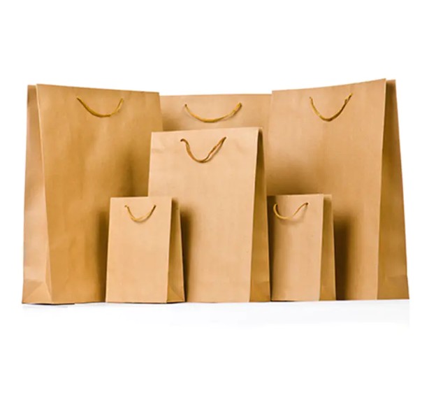 Could Printed High-End Customized Paper Bags Revolutionize Your Brand's Image?